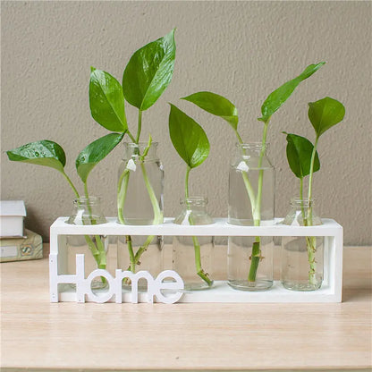 Transparent Glass Hydroponic Vase for Home Decor